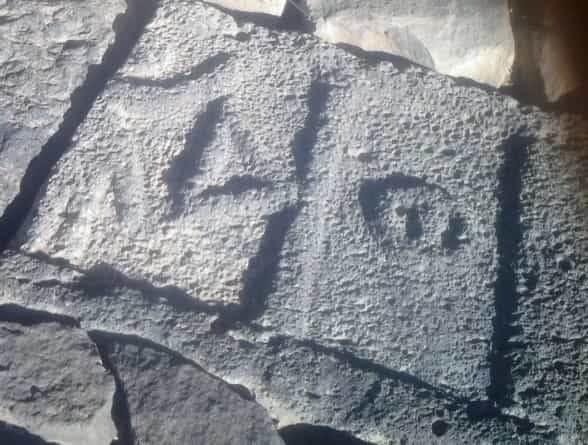 الشرعي العمارية 1